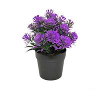 Pot d'herbe de lotus sans eau 16 cm Décoration nécessitant peu d'entretien | Sans entretien, ne se fanent pas, résistent aux moisissures, restent frais pour toujours, idéal pour les maisons occupées