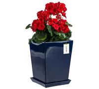 Pot En Céramique 29.5x34 Cm Émaillé + Soucoupe Grenade Haut Boîtier D'intérieur Multicolore