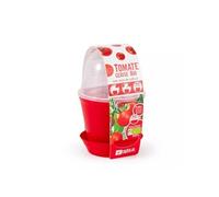 Radis et Capucine - Pot en cloche - Tomate cerise