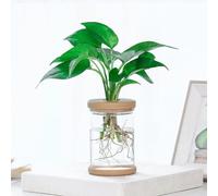 Pot en plastique transparent pour petites plantes - Construction PET permettant la transmission de la lumière - Favorise la santé des racines - Adapté à l'intérieur - B