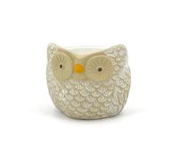Pot en terre cuite chouette décoré à la main | Diamètre 12 cm | Cache-pot pour plantes succulentes et fleurs | Pot pour orchidées | Décoration intérieure et extérieure