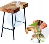 Pot en verre ornemental Planteur hydroponique 1 pc Bambou Stand