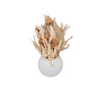 Atmosphera Pot en grès jja 193735 – Fleurs naturelles séchées 25x10 cm – Gris G