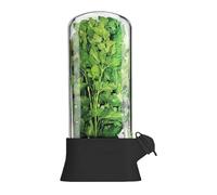 Pot hermétique pour conserver la fraîcheur des herbes aromatiques, pour coriandre, persil, asperges, conserve les légumes (noir)