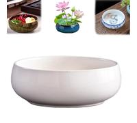 Pot Hydroponique,Pot De Fleur Ceramique,Plantes D'IntéRieur,Fleurs Vasque RéCipient Hydroponique Non Poreux De Grand Calibreavec GlaçUre Fluide, Applicable Aux Plantes Succulentes En Hydroponie (C)