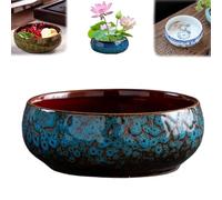 Pot Hydroponique,Pot De Fleur Ceramique,Plantes D'IntéRieur,Fleurs Vasque RéCipient Hydroponique Non Poreux De Grand Calibreavec GlaçUre Fluide, Applicable Aux Plantes Succulentes En Hydroponie (D)