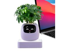 Pot intelligent avec guide d'IA pour l'entretien des plantes et des animaux | Pothos Pot de fleurs pour intérieur, maison, bureau, salon, chambre, balcon, patio, Saint-Valentin, fête des mères