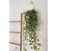 Pot mural à arrosage, blanc