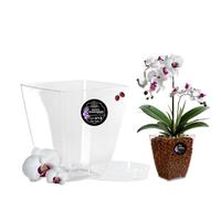 Pot Orchidée Transparent avec Soucoupe Pot Fleur | Pot Transparent Orchidée avec Drainage | Pot pour Orchidées en Plastique Transparent | Pot Transparent Plante | Pot de Rempotage (1, 14x14x15cm)