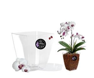 Pot Orchidée Transparent avec Soucoupe Pot Fleur | Pot Transparent Orchidée avec Drainage | Pot pour Orchidées en Plastique Transparent | Pot Transparent Plante | Pot de Rempotage (1, 14x14x15cm)