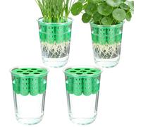 Pot pour ciboulette verte | Récipient transparent réutilisable pour cultiver des oignons verts | Pots pour ciboulette d'intérieur, pour fenêtre, maison, intérieur ou coin