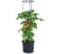 Prosperplast TOMATO GROWER bac à tomates 39,2 cm anthracite