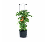 Jardinière de tomates Prosperplast Jardinière de tomates en plastique de couleur anthracite 29,5 (L) x 29,5 (l) x 23,6-115,2 (H) cm