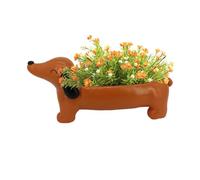 Pot pour plantes succulentes - Convenient Compact Elegant Easy Cleanness, avec forme succulente en résine résistante | Multipurpose Outdoor Indoor Utility Widely Applicable