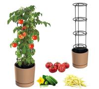 Pot Pour Tomates, Concombres, Haricots, Fleurs Grimpantes, Jardinière, Ø40cm, Marron + Insert Multicolore