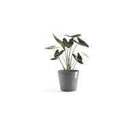 Pot Rond Amsterdam 40 Gris + réservoir d'eau - Ø 40 x H. 35 cm - 28 L