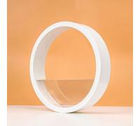 Pot suspendu pour plantes grasses avec trous de drainage fonctionnels - Convient pour les espaces de vie intérieurs et extérieurs - Design en plastique léger (blanc)