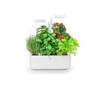 Potager d'intérieur Véritable® Classic - Cultivez vos herbes aromatiques facilement