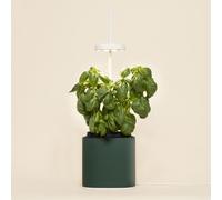Potager connecté Nano Garden vert