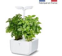 VÉRITABLE-Potager d'intérieur autonome compact Exky CLASSIC - livré avec 2 lingots