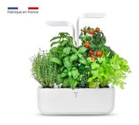 Potager d'intérieur Véritable® Classic - Cultivez vos herbes aromatiques facilement