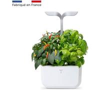 Potager d'intérieur - VERITABLE - Exky® SMART - Arctic White - 2 Lingots® - Basilic et Persil BIO