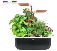 Potager d'intérieur Véritable® SMART Copper, inclus 4 Lingots® : Basilic grand vert, Persil frisé, Ciboulette et Thym