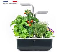 Potager d'intérieur Véritable® SMART Soft Black, inclus 4 Lingots® : Basilic grand vert, Persil frisé, Ciboulette et Thym