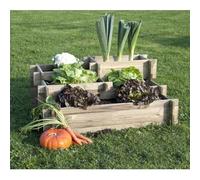 Potager multi-espacement ANGELIC