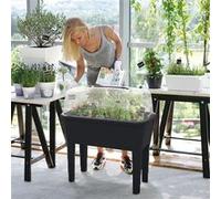 Potager serre sur pieds en plastique petit modèle G