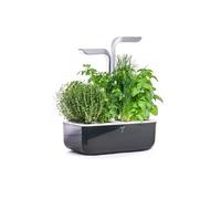 Potager d’intérieur Véritable Smart Soft Black G