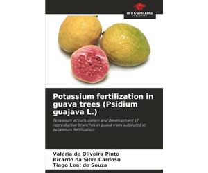 Potassium fertilization in guava trees (Psidium guajava L.): Potassium accumulation and development of reproductive branches in guava trees subjected to potassium fertilization