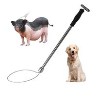 Poteau de capture, poteau de capture d'animaux en acier inoxydable 19 pouces Attrape-chien porc avec anneau réglable Droit Forte charge Contrôle des animaux pour la ferme pour un usage quotidien