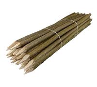 Poteau de clôture 25 pièces Naturel - poteau affûté Cheville ronde, Bois de noyer, Clôture de jardin - H 80 cm