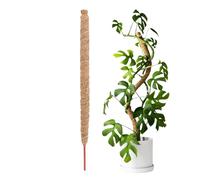 Poteau de plante - Bâtons de soutien en mousse de coco pour plantes | Bâtons de vigne en fibre de coco pliables réutilisables pour plantes, lianes grimpantes, jardin, cour