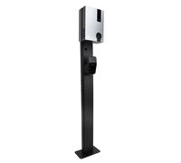 Poteau de Raedian pour borne de recharge-LDY-POLE-RAEDIAN