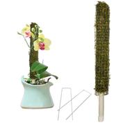 Poteau en mousse auto-arrosage pour grimpantes Monstera - Piquets de sphaigne faits à la main - Véritable bâton de mousse - Treillis de support pour en pot - Parfait pour les grands
