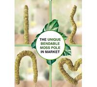 Poteau en mousse véritable pour Monstera, 1 pièce, piquets pliables pour plantes, Support pour plantes en pot, parfait pour les plantes grimpantes d'intérieur