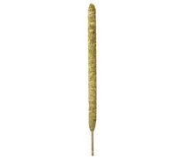 Poteau en mousse véritable pour Monstera, piquets pliables pour plantes, Support pour plantes en pot, parfait pour les plantes grimpantes d'intérieur