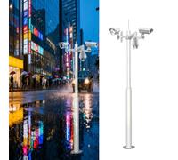 Poteau pour Camera De Surveillance Poteau de caméra de Surveillance en métal, Support de caméra sur Poteau avec Cage en Barres d'armature, poteaux(Style C,236in/6m(Three paragraphs))