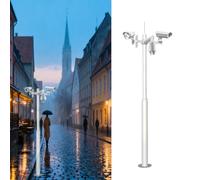 Poteau pour Camera De Surveillance Support de caméra de sécurité, Poteau de Moniteur avec Cage de Montage en Armature, boîtier de Surveillance et Supports(Style A,2.5m/98in(Two paragraphs))