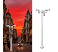 Poteau pour Camera De Surveillance Supports de caméra de sécurité pour extérieur, Poteau de caméra avec Cage de Montage en Armature, Poteau Shutterbug adapté(Style A,79in/2m(Two paragraphs))