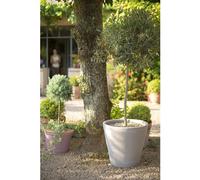 POTERIE GOICOECHEA-Cuvier contemporain en terre grise H 52 x diamètre 53 cm