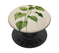 Pothos Vintage Illustration Scientifique Plante PopSockets PopGrip Adhésif