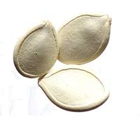 Potiron Bleu de Hongrie AB - Cucurbita Maxima - SEM03