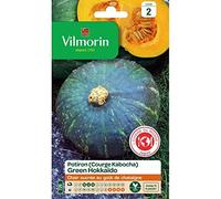 Potiron (Courge Kabocha) Green Hokkaido - Cuisine du Monde