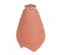 Poto-olla taille m - 35 cl