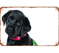 Potomac In Pick Of The Litter 2018 Plaque Dogumentary en métal 20,3 x 30,5 cm Décoration murale vintage rétro