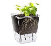 Pots à arrosage automatique pour d'intérieur, 15 cm, transparent à arrosage automatique, vase domestique visible avec réservoir profond, pots de fleurs décoratifs pour , violet africain,