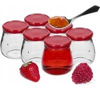 Pots à confiture avec bouchon à vis 6 pièces 500 ml